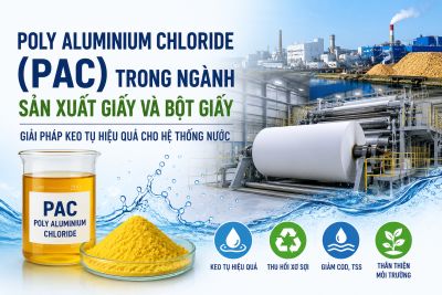 Poly Aluminium Chloride (PAC) Trong Ng&agrave;nh Sản Xuất Giấy V&agrave; Bột Giấy: Giải Ph&aacute;p Keo Tụ Hiệu Quả Cho Hệ Thống Nước