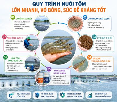 Quy Tr&igrave;nh T&ocirc;m Lớn Nhanh, Vỏ B&oacute;ng, Sức Đề Kh&aacute;ng Tốt