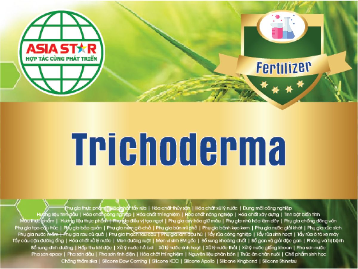 Chế phẩm Trichoderma l&agrave; g&igrave;? T&aacute;c dụng v&agrave; c&aacute;ch sử dụng hiệu quả cho c&acirc;y trồng