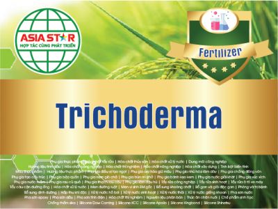 Chế phẩm Trichoderma là gì? Tác dụng và cách sử dụng hiệu quả cho cây trồng