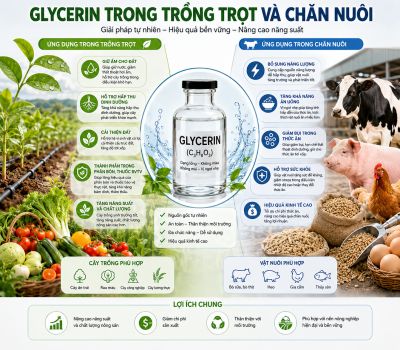 Glycerin Trong Chăn Nu&ocirc;i V&agrave; Trồng Trọt