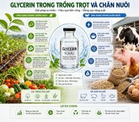 Glycerin Trong Chăn Nu&ocirc;i V&agrave; Trồng Trọt