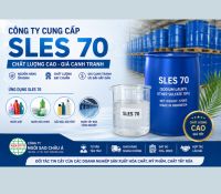 C&Ocirc;NG TY CUNG CẤP SLES 70 CHẤT LƯỢNG CAO - GI&Aacute; CẠNH TRANH