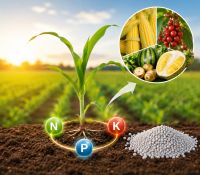 B&iacute; Quyết Tăng Năng Suất Cho C&acirc;y Trồng