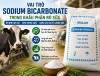 Vai Tr&ograve; Của Sodium Bicarbonate Trong Khẩu Phần B&ograve; Sữa: Giải Ph&aacute;p Ổn Định Dạ Cỏ, N&acirc;ng Cao Năng Suất
