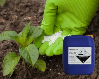 Vai Trò Của Phosphoric Acid Trong Ngành Phân Bón – Thành Phần Không Thể Thiếu