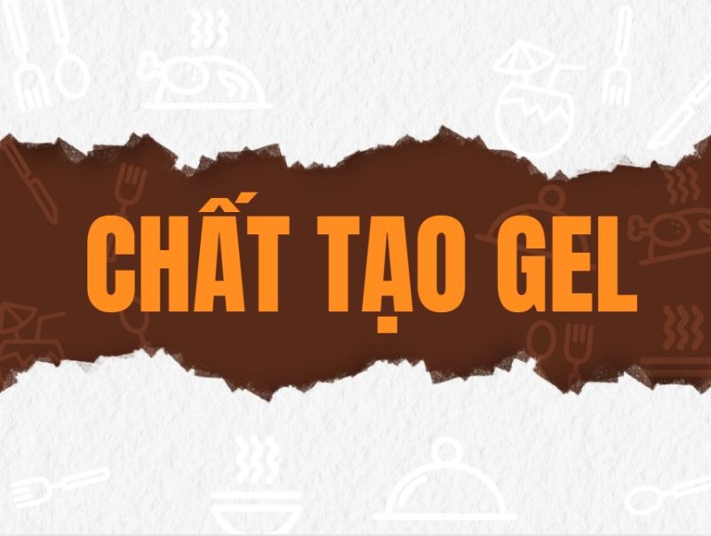 Ph&acirc;n T&iacute;ch Chất Tạo Gel V&agrave; Ứng Dụng Trong Sản Xuất Thực Phẩm